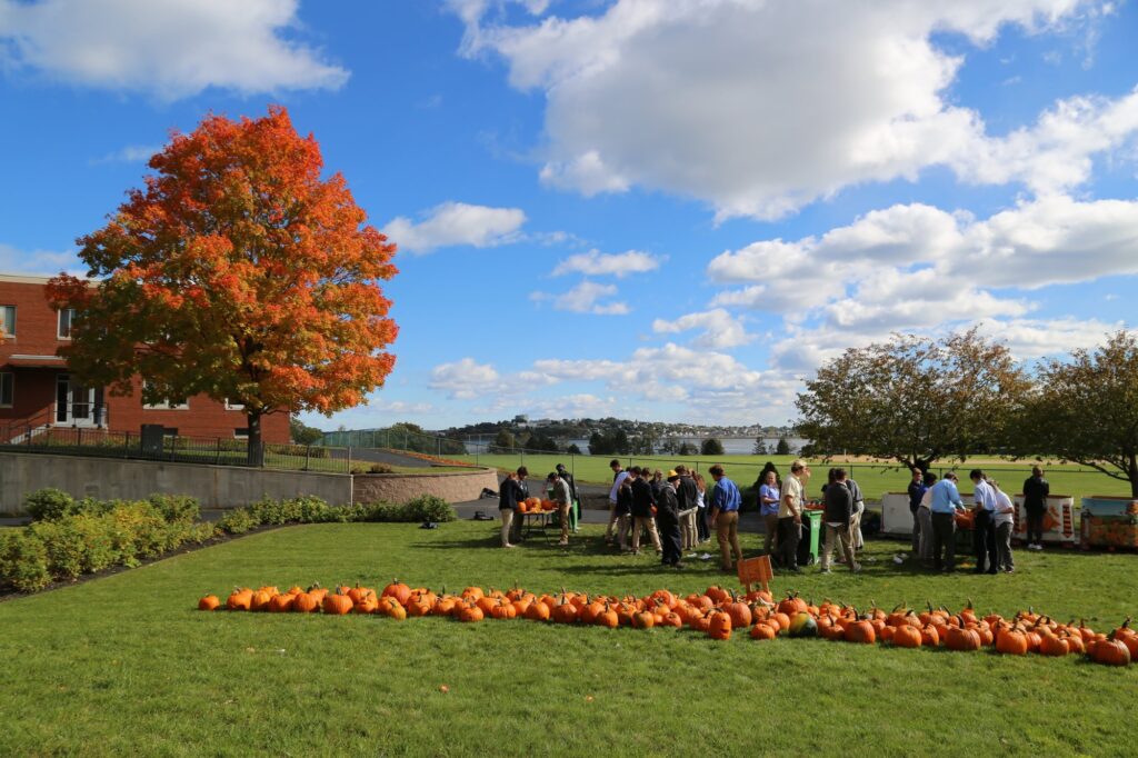 people outside on a fall day with rows of pumpkins